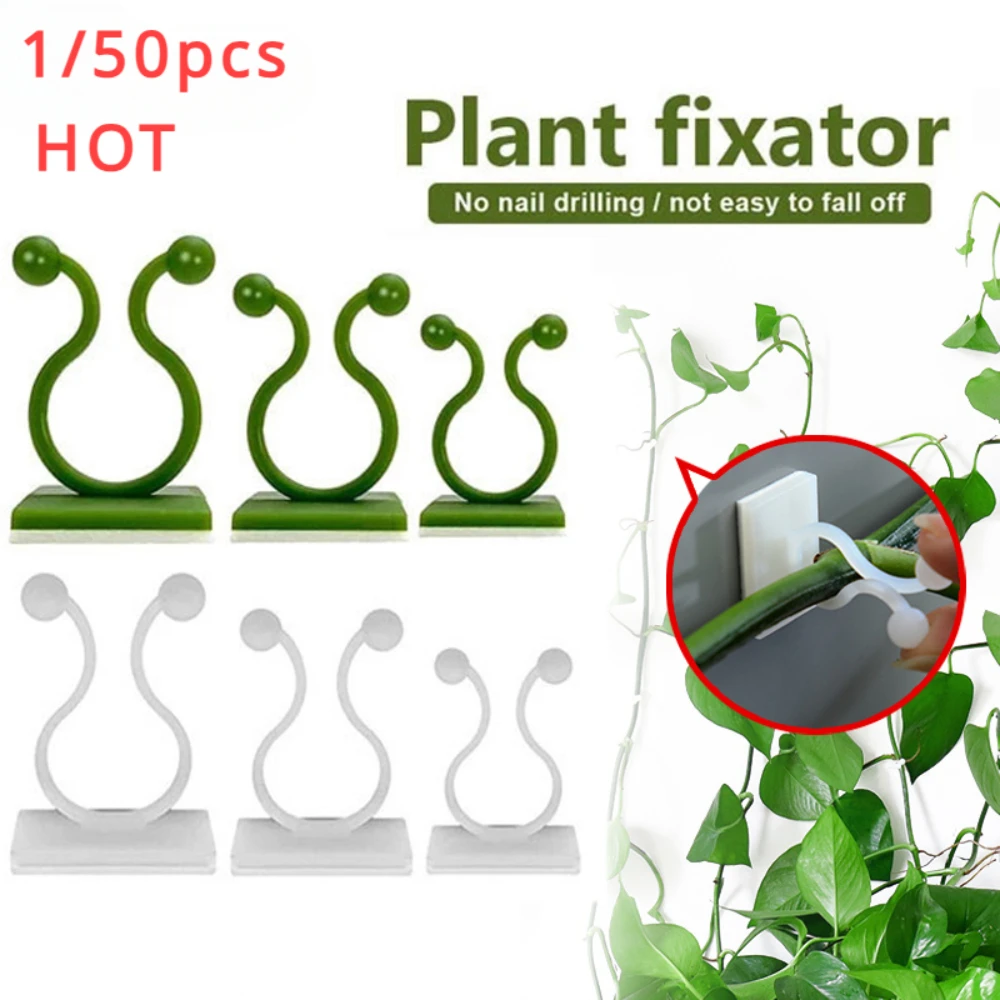 Plant Parents - 植木鉢とプランター,クライミングウォール,屋外装飾ランプ,植物のサポート,つるクリップアクセサリー,1個,30個,50個