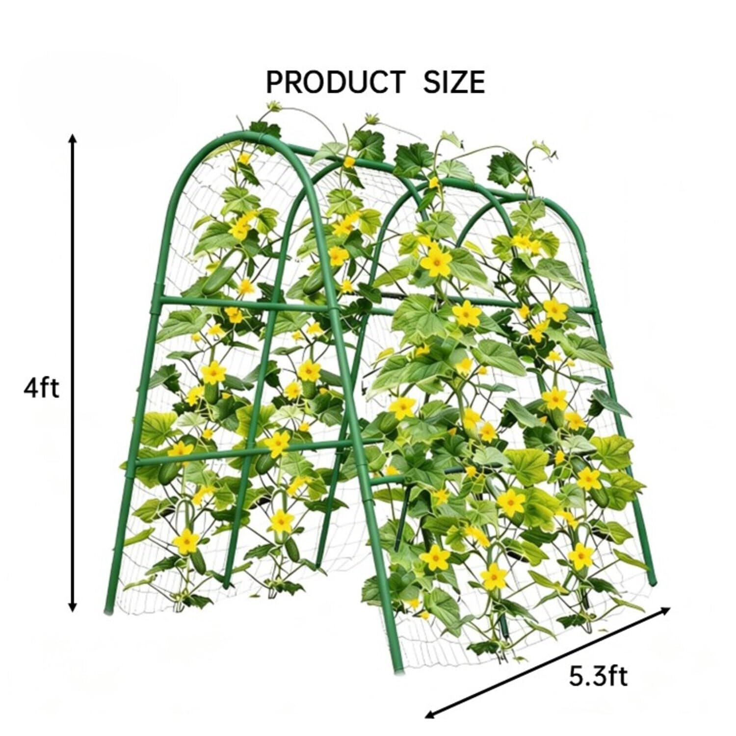 4x5.3フィートのガーデンアーチトレリス、高床式菜園用、頑 - Plants X のレビューと価格