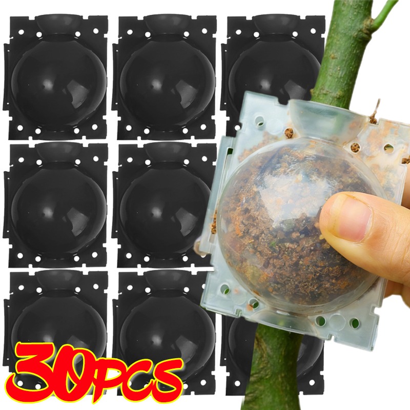 再利用可能な植物発根ボール接木ツール高圧植物根成長ボックス果 - Plant Parents のレビューと価格
