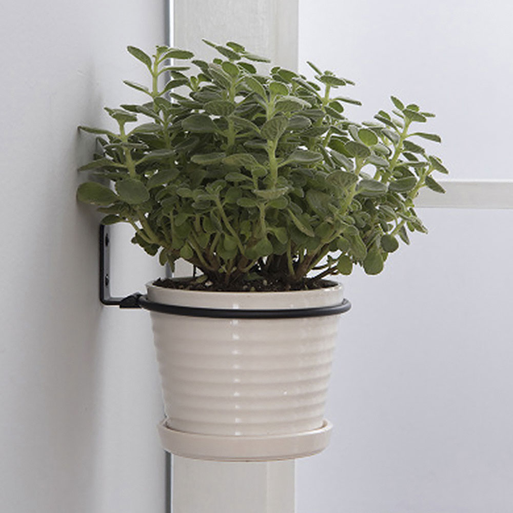 植木鉢トレイ壁掛けポットリングホルダー金属プランターフックハ - Plant Parents のレビューと価格
