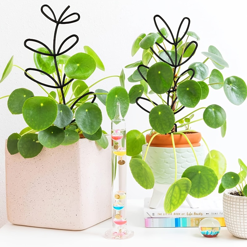 3 個の植物サポートフレーム クライミングラック 植物の形作 - Plant Parents のレビューと価格