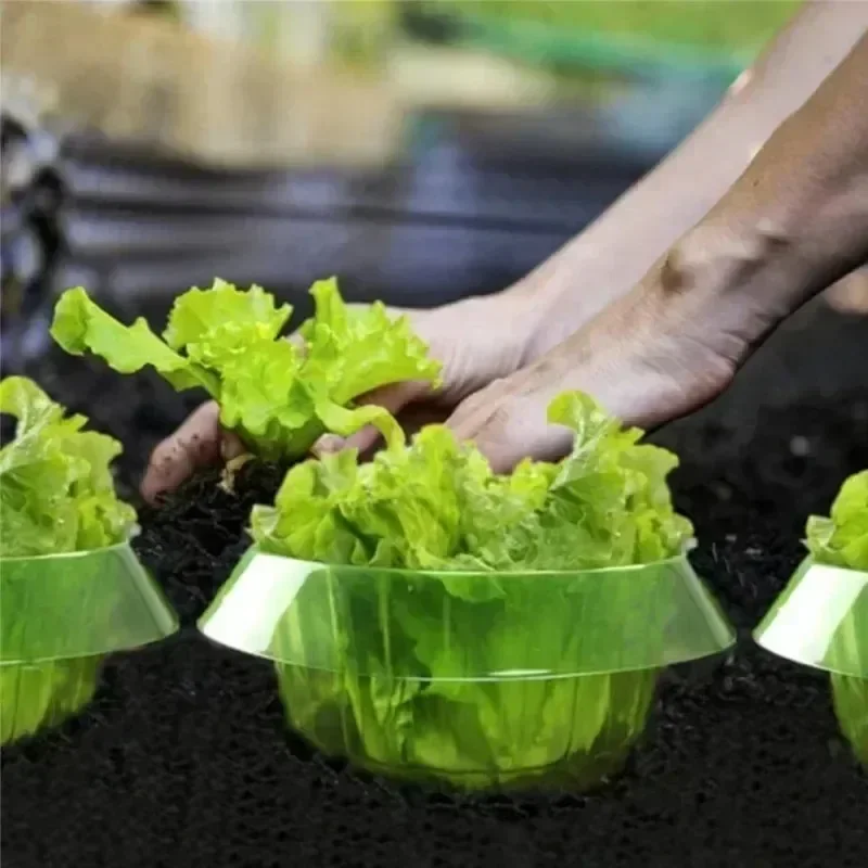 植物ナメクジ保護リング野菜カバー植物カタツムリ首輪ガードグリ - Plant Parents のレビューと価格