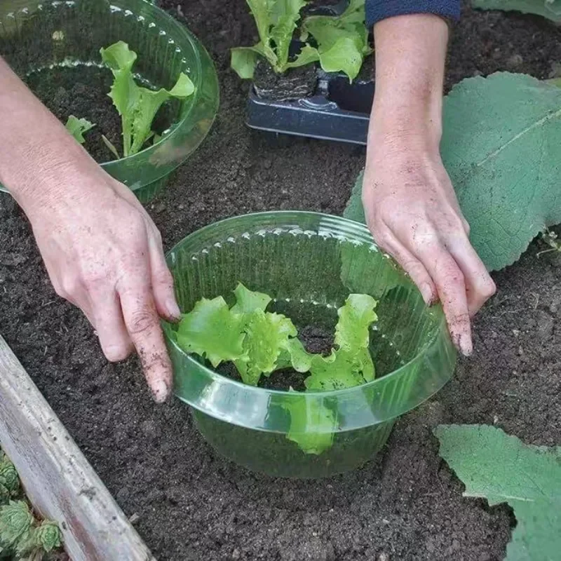 植物ナメクジ保護リング野菜カバー植物カタツムリ首輪ガードグリ - Plant Parents のレビューと価格